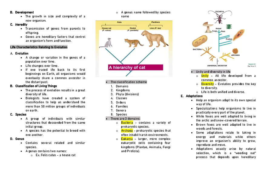 Zoology - What Is Life - Page 3