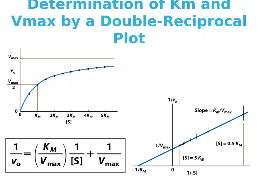 Principles of Biochemistry - Enzymes Lecture 5 - Page 7