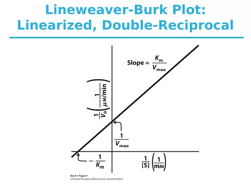 Principles of Biochemistry - Enzymes Lecture 5 - Page 9