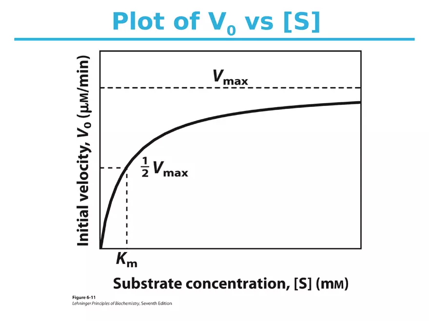 Principles of Biochemistry - Enzymes Lecture 5 - Page 2