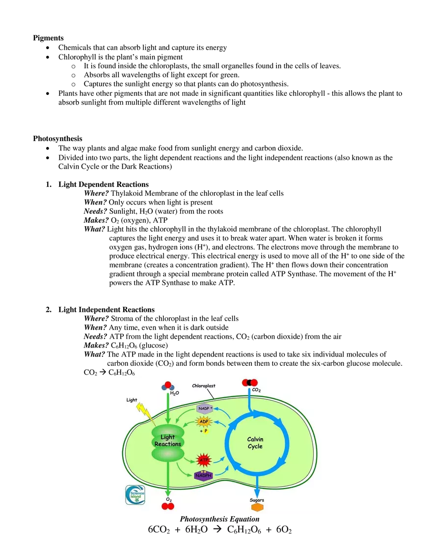 ATP, Photosynthesis, Cellular Respiration - Page 2