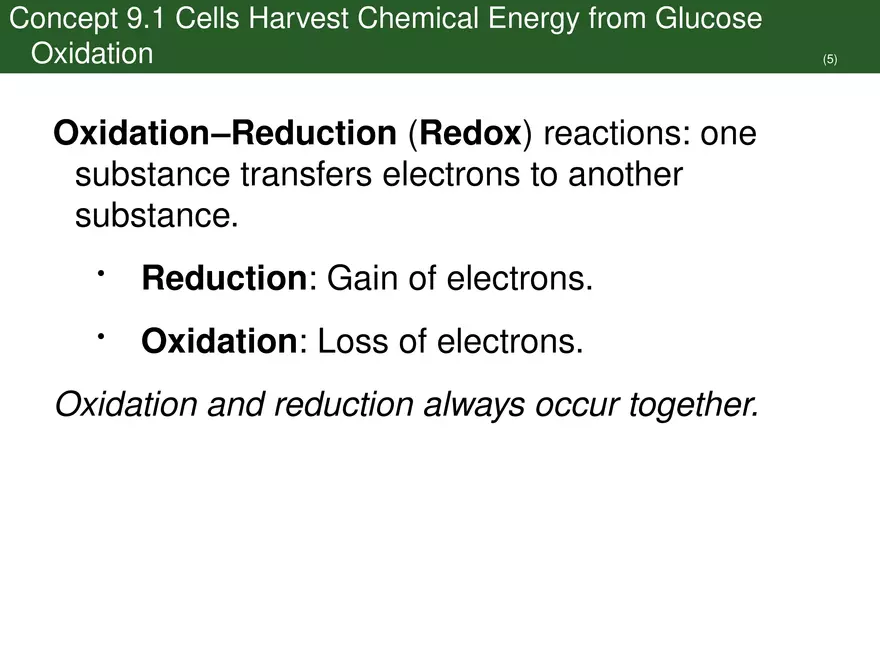 Pathways That Harvest Chemical Energy Lecture Part 1 - Page 8
