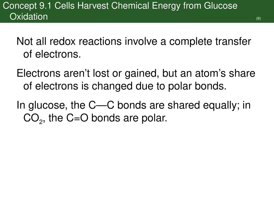 Pathways That Harvest Chemical Energy Lecture Part 1 - Page 10