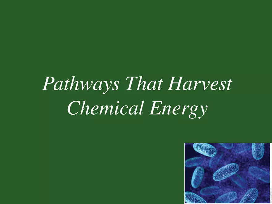 Pathways That Harvest Chemical Energy Lecture Part 1 - Page 1