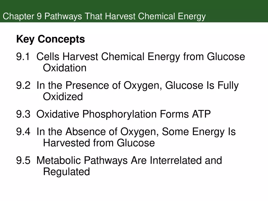 Pathways That Harvest Chemical Energy Lecture Part 1 - Page 2