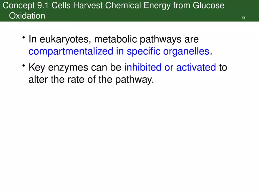 Pathways That Harvest Chemical Energy Lecture Part 1 - Page 4