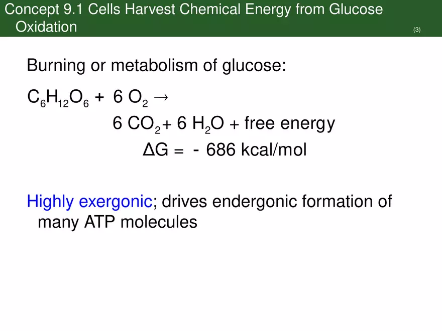 Pathways That Harvest Chemical Energy Lecture Part 1 - Page 5