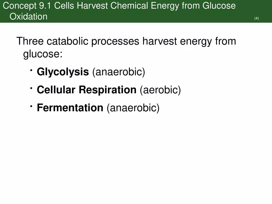 Pathways That Harvest Chemical Energy Lecture Part 1 - Page 6