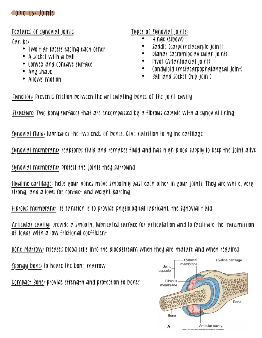 Terminology and Tissues - Page 2