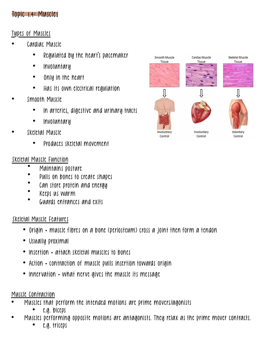 Terminology and Tissues - Page 3
