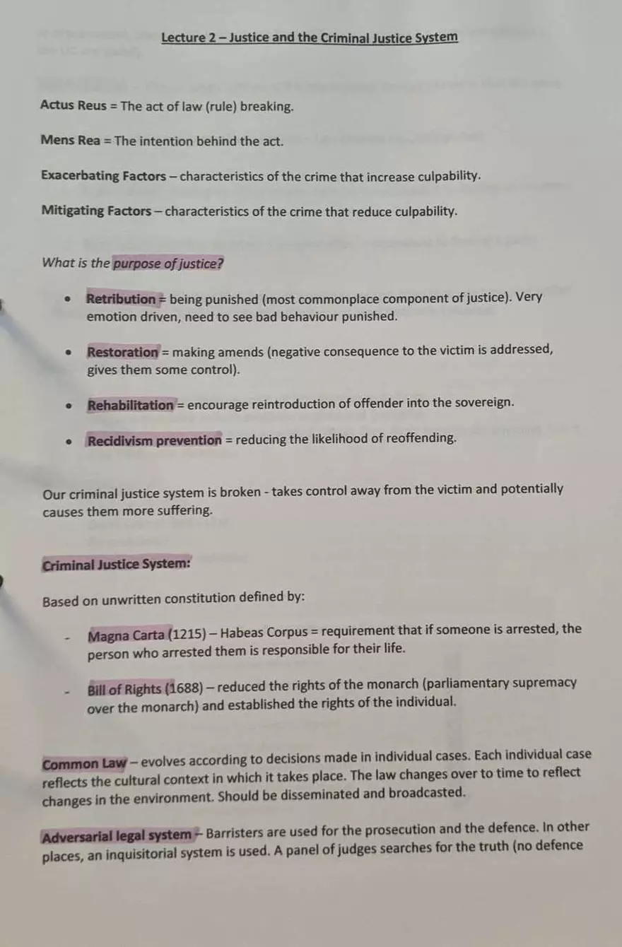 Justice and the Criminal Justice System - Page 1