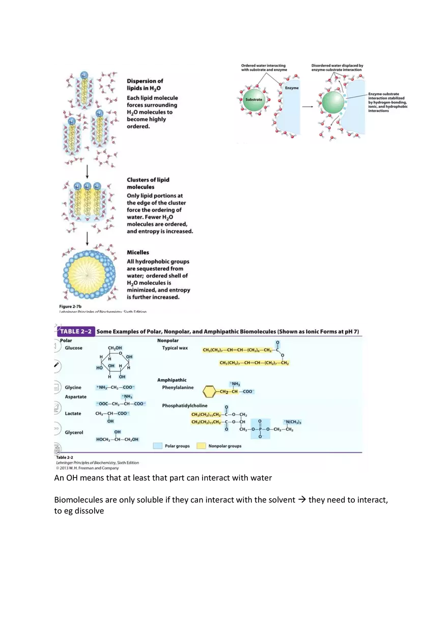 L2, L3 water and weak interactions - Page 9