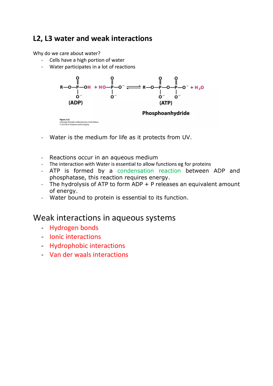 L2, L3 water and weak interactions - Page 1