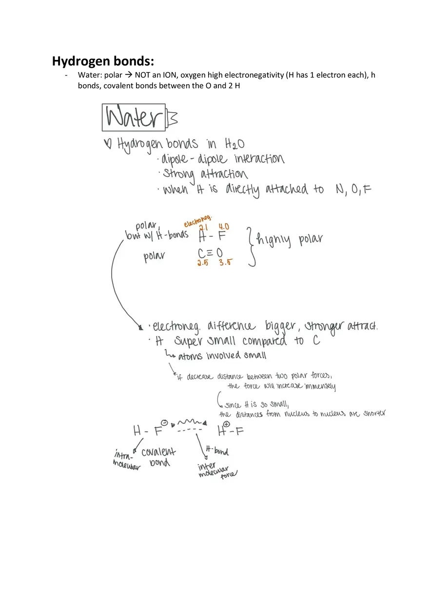 L2, L3 water and weak interactions - Page 2