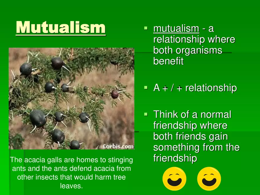 Symbiotic Relationships - Page 4