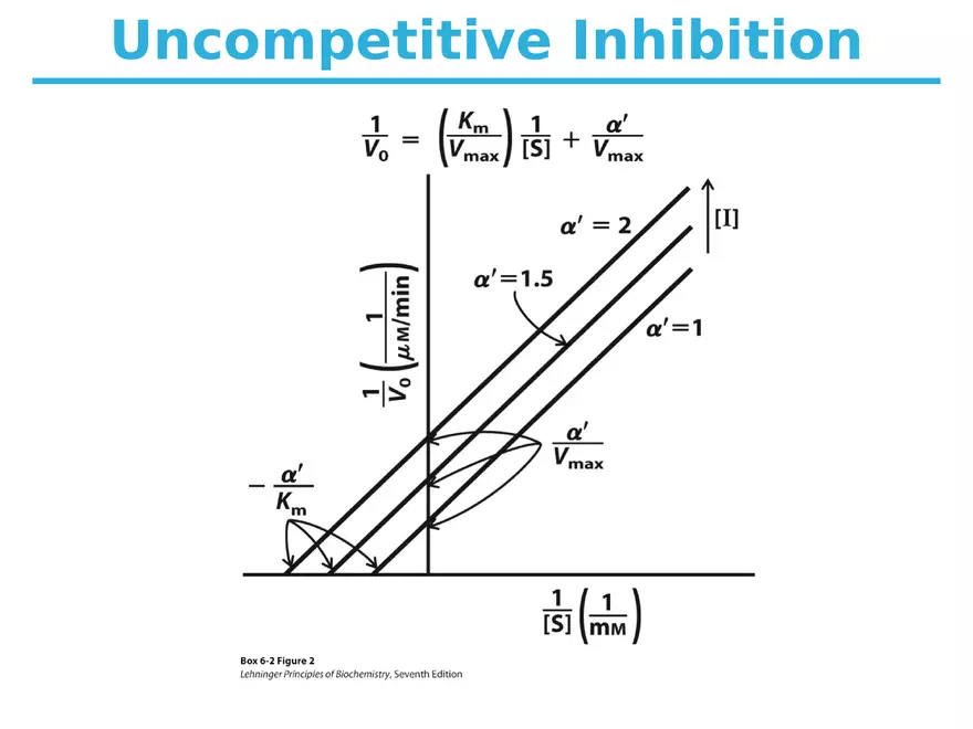 Principles of Biochemistry - Enzymes Lecture 6 - Page 7