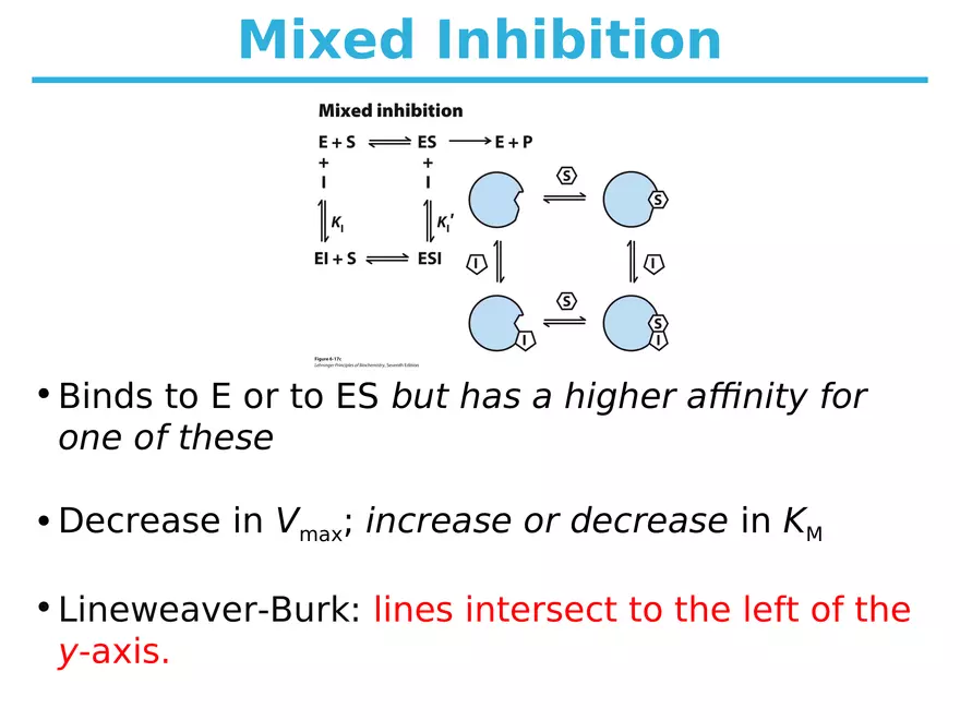 Principles of Biochemistry - Enzymes Lecture 6 - Page 8