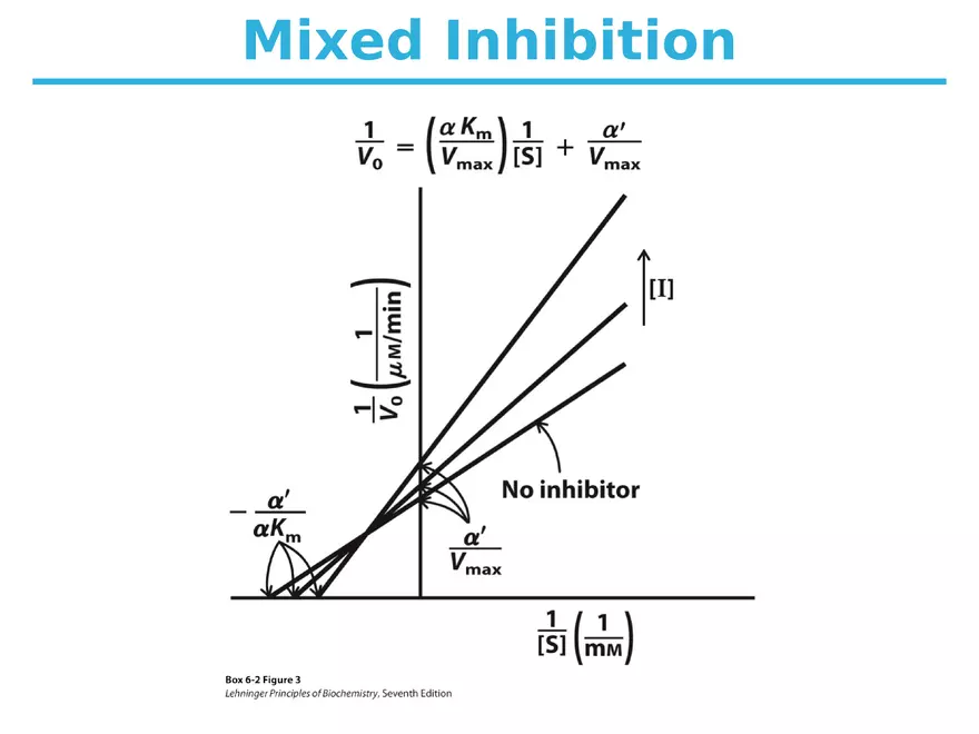 Principles of Biochemistry - Enzymes Lecture 6 - Page 10