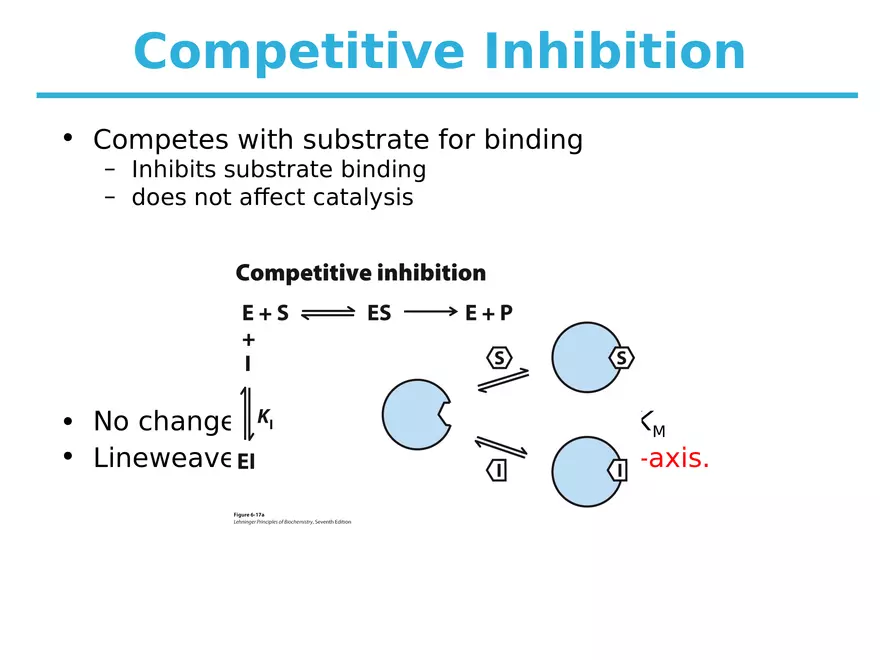 Principles of Biochemistry - Enzymes Lecture 6 - Page 2