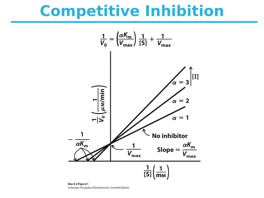 Principles of Biochemistry - Enzymes Lecture 6 - Page 4