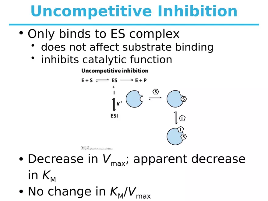 Principles of Biochemistry - Enzymes Lecture 6 - Page 5