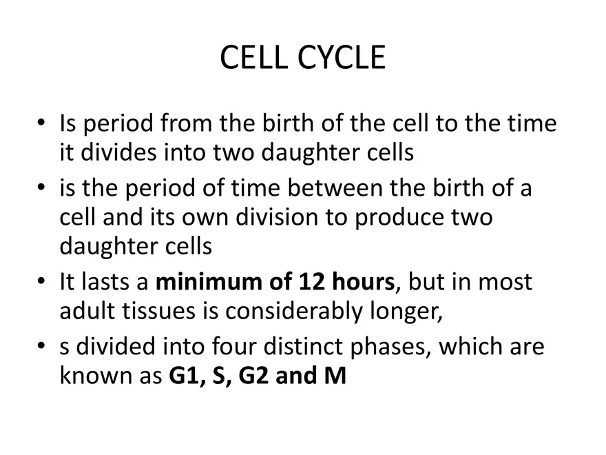Macromolecular Synthesis - Page 4