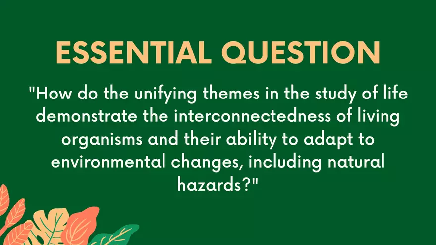 Natural Hazards, Mitigation, and Adaptation - Page 3