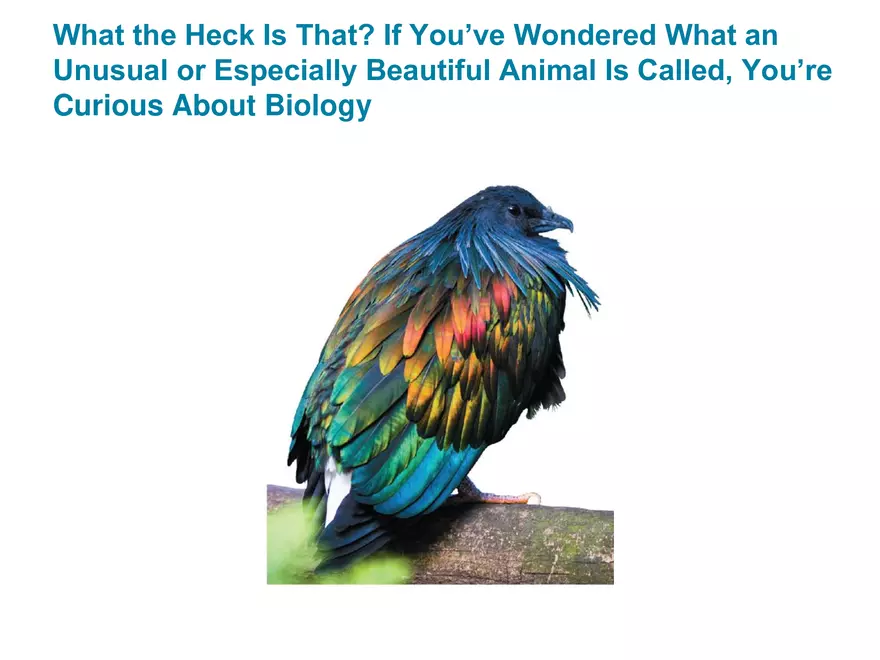 Campbell Essential Biology and Campbell Essential Biology with Physiology - Page 2