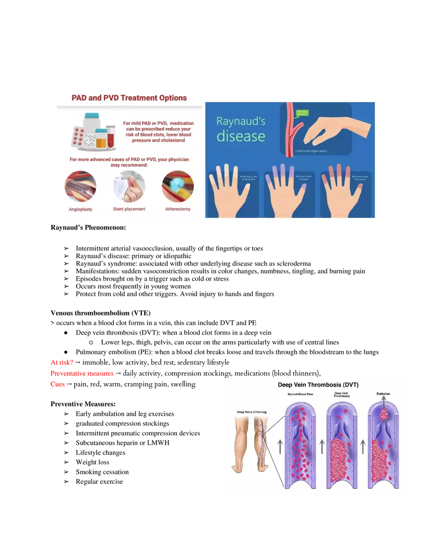 Preoperative Considerations and Surgical Team Roles Part 2 - Page 7
