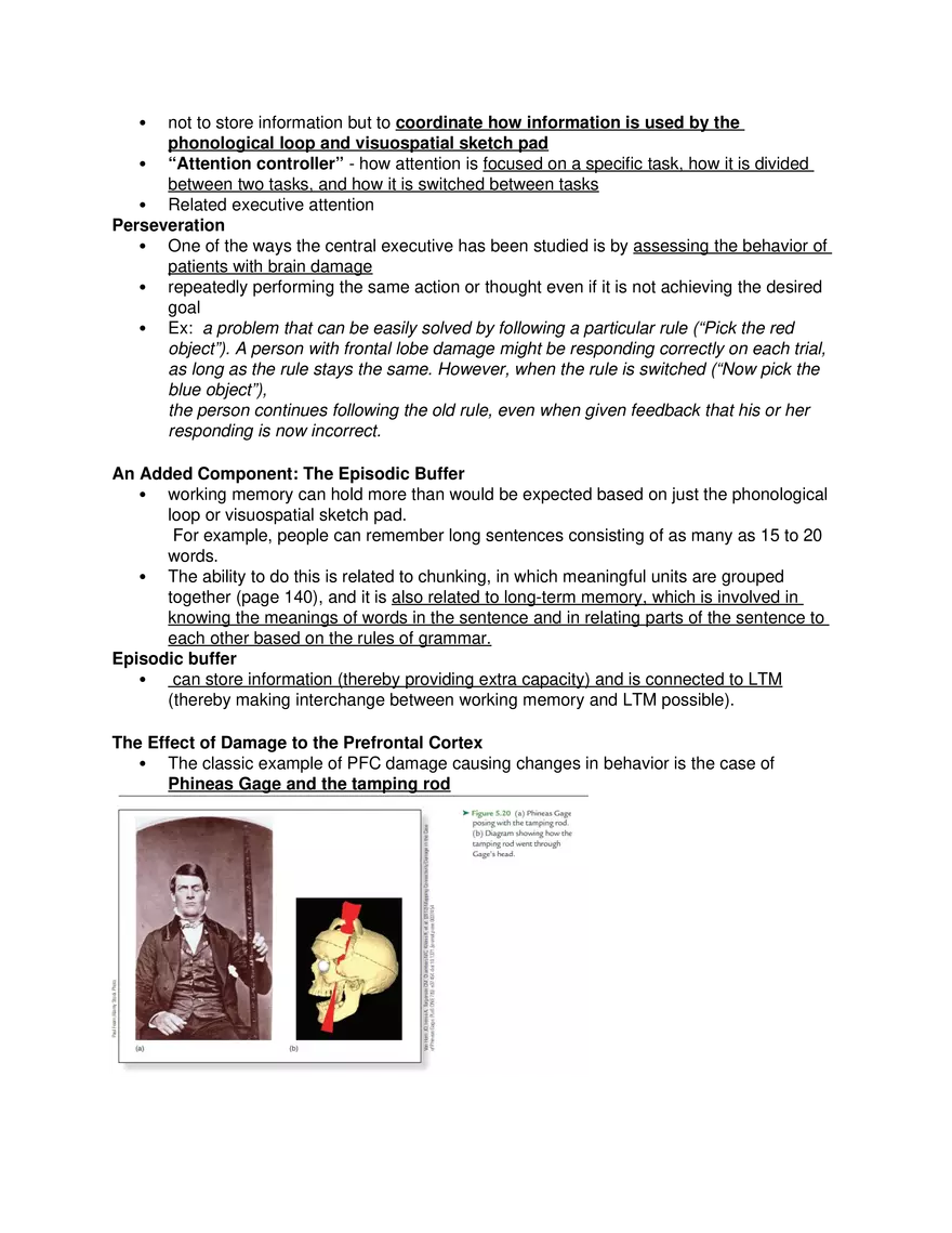 Short-Term and Working Memory - Page 11