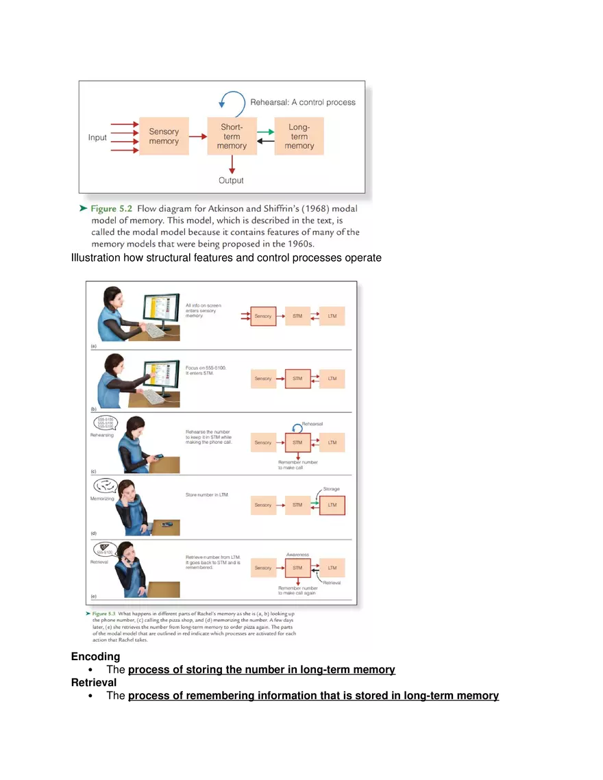 Short-Term and Working Memory - Page 2