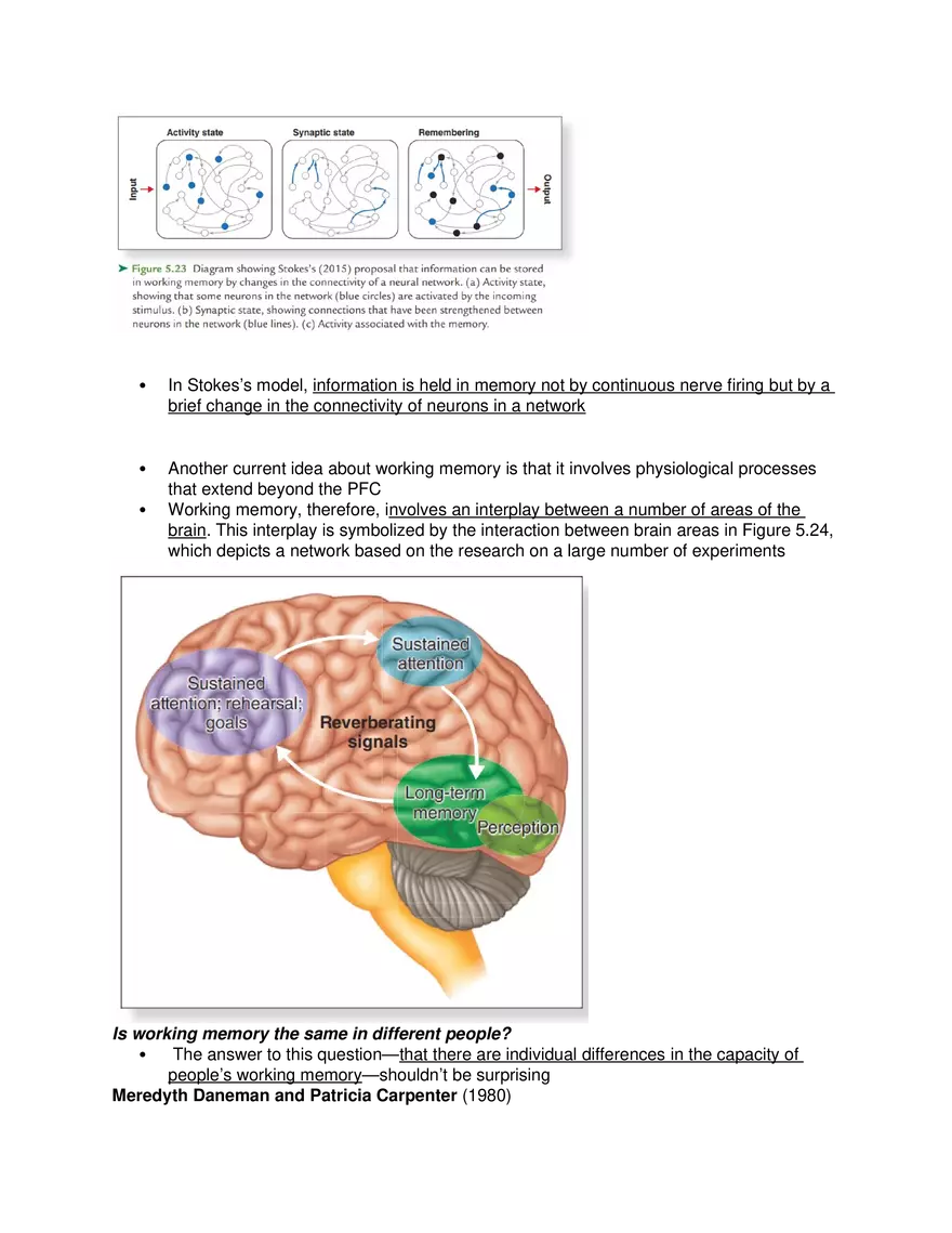 Short-Term and Working Memory - Page 3