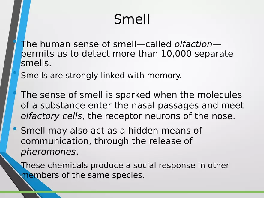 Sensation and Perception Lecture 5 - Page 9