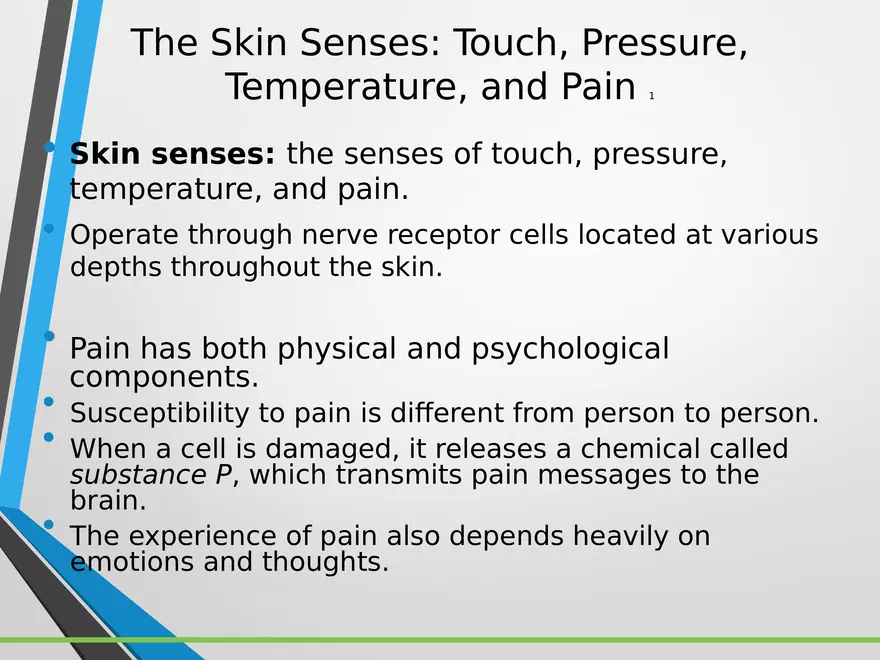 Sensation and Perception Lecture 5 - Page 11