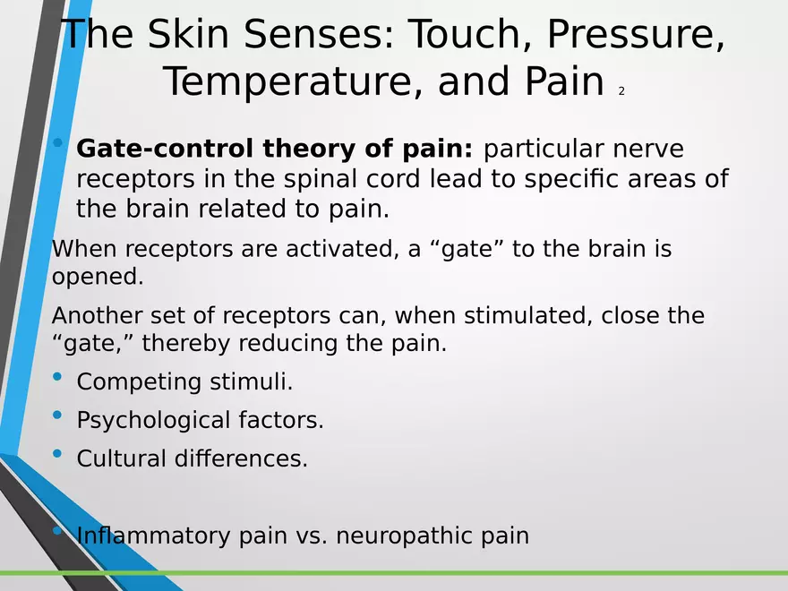 Sensation and Perception Lecture 5 - Page 13