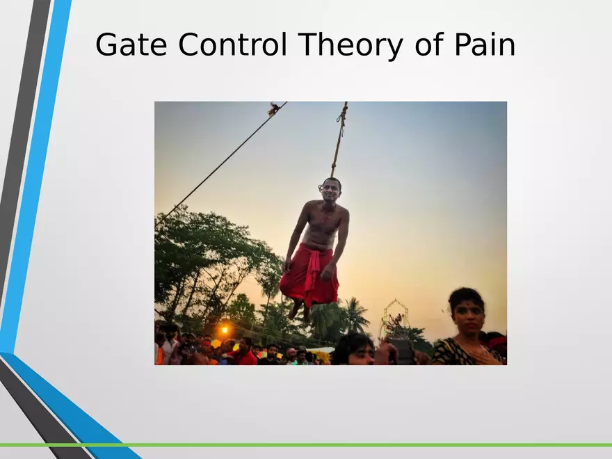 Sensation and Perception Lecture 5 - Page 14