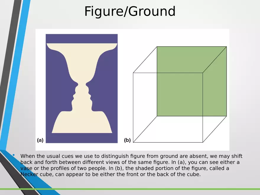 Sensation and Perception Lecture 5 - Page 6