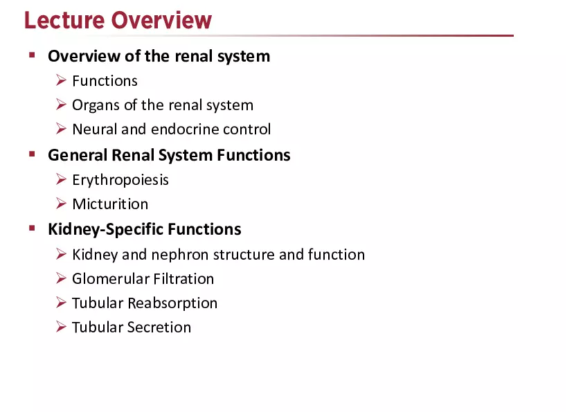 The Renal System Lecture - Page 1