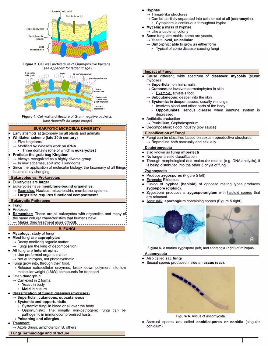 Interactions and Functions of Microorganisms - Page 3