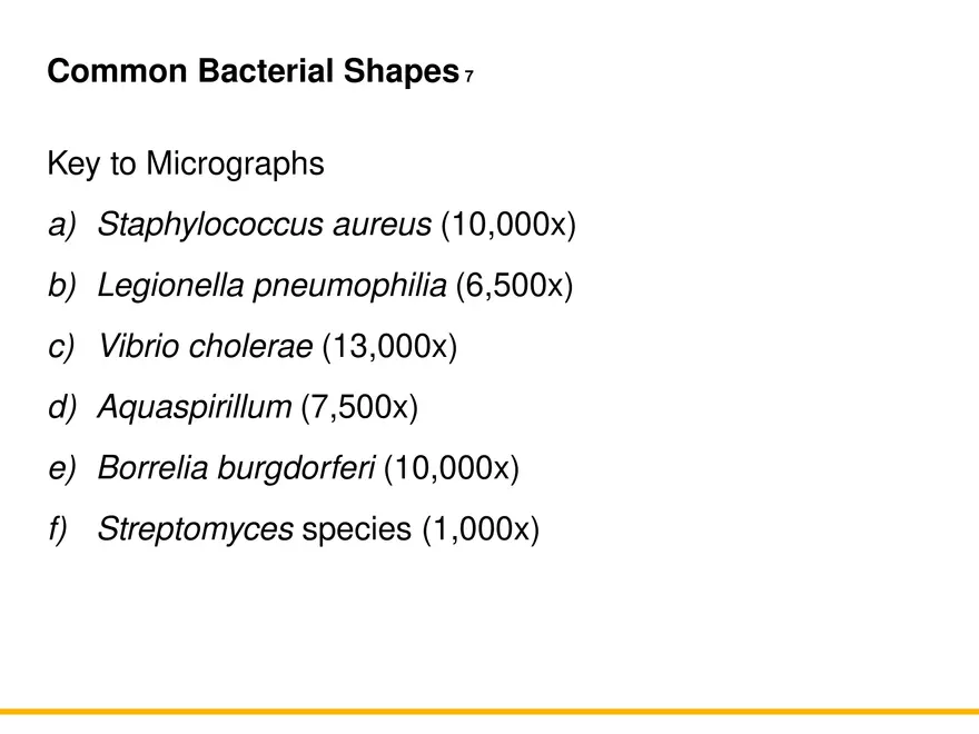 A Survey of Prokaryotic Cells and Microorganisms Lecture 7 - Page 8