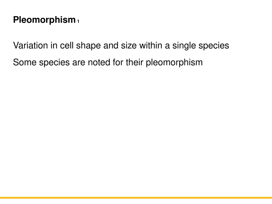 A Survey of Prokaryotic Cells and Microorganisms Lecture 7 - Page 9