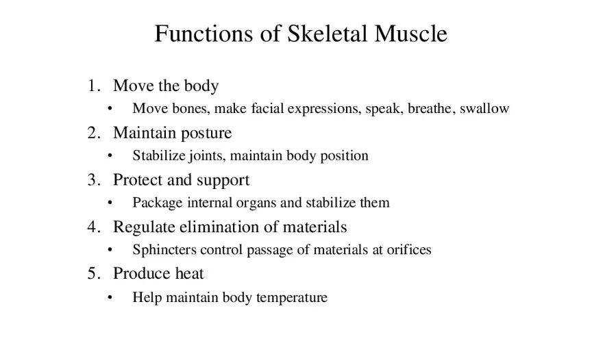 Functions of Skeletal Muscle - Page 1