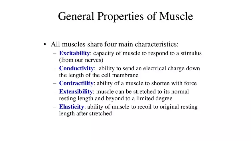 Functions of Skeletal Muscle - Page 2