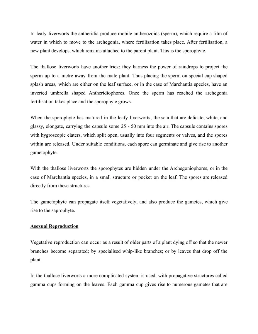 What are Liverworts - Page 3