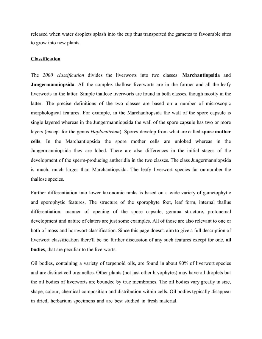 What are Liverworts - Page 4