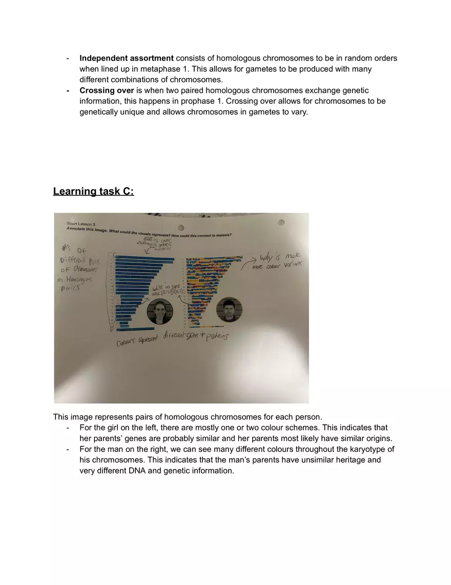 Stages of Meiosis I and II Mechanisms of Genetic Variation - Page 3
