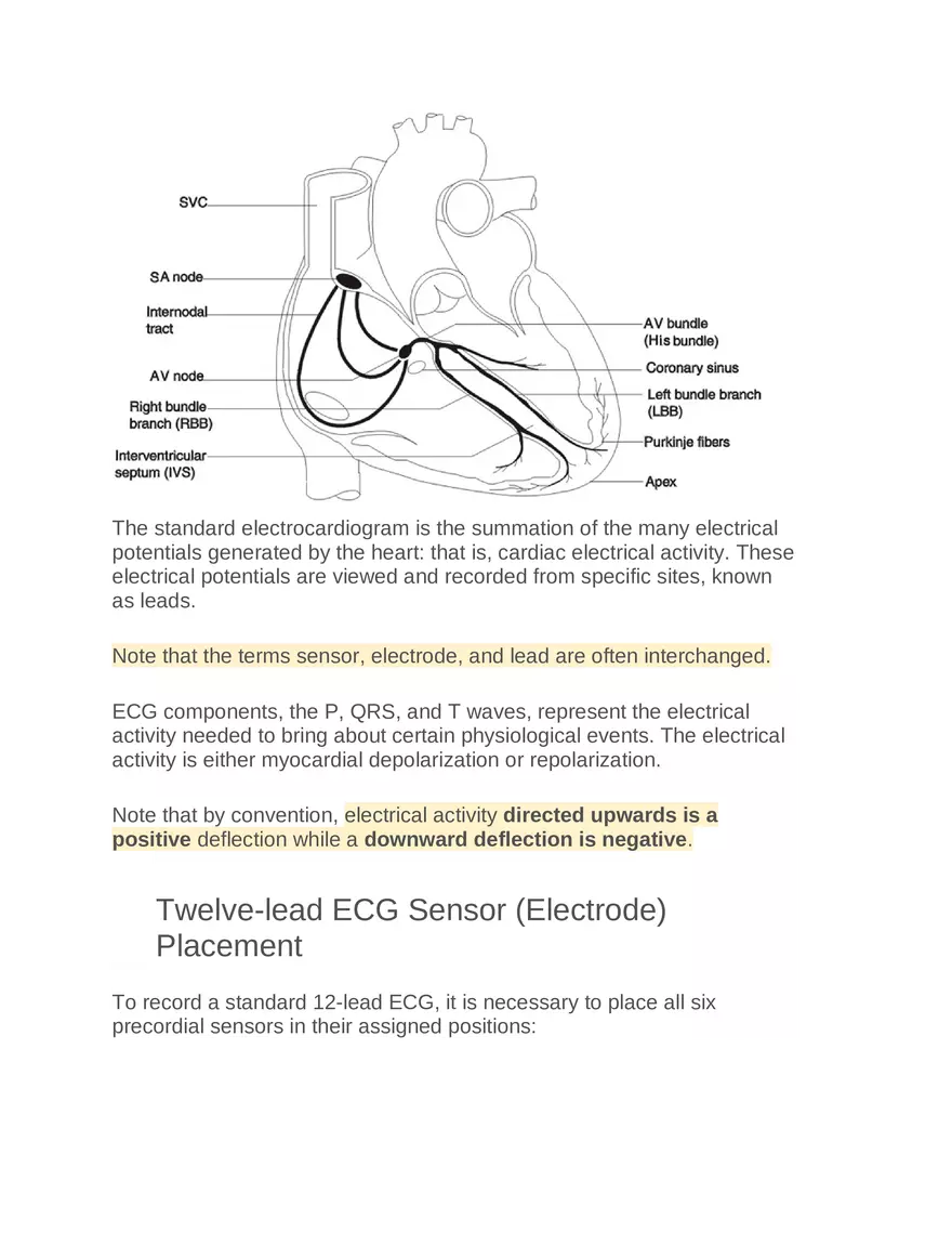 Intro to Cardiology Module 1 Guide Part 6 - Page 2