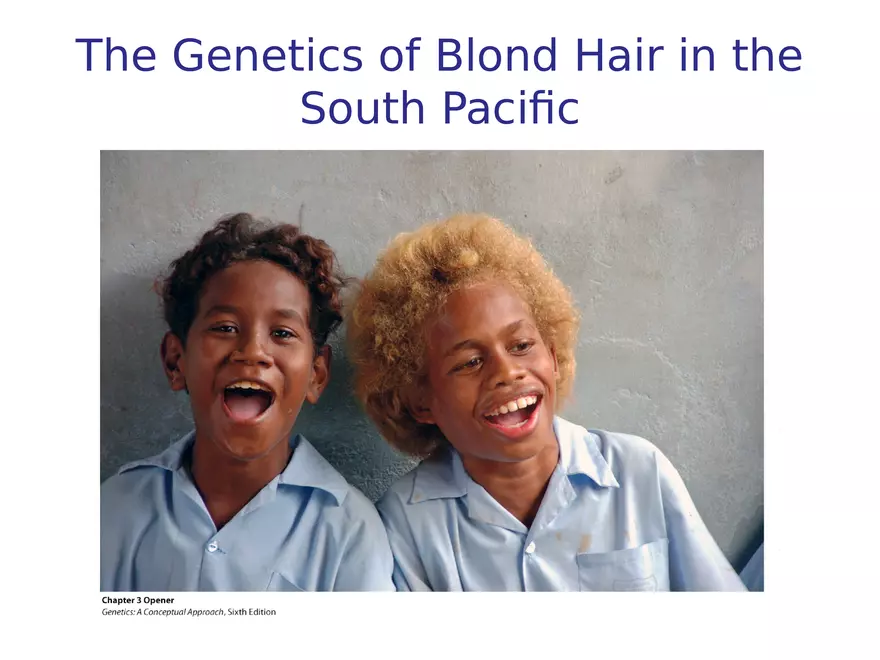 Chapter 3 Basic Principles of Heredity Part 1 - Page 1