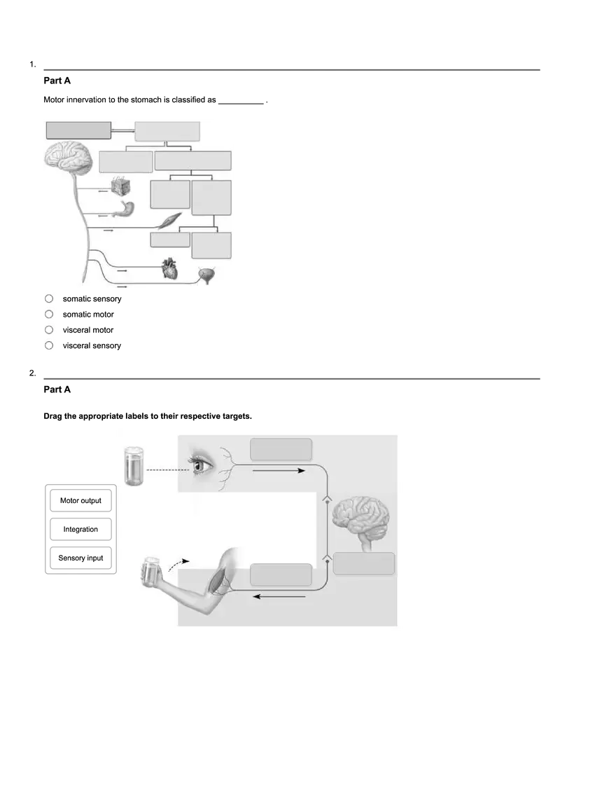 Nerve Transmission and Neural Cell Functions - Page 1