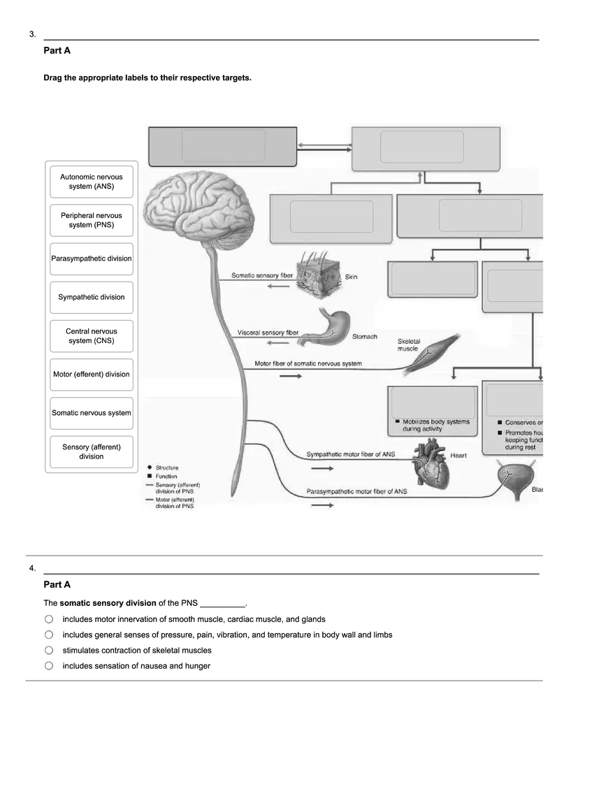 Nerve Transmission and Neural Cell Functions - Page 2
